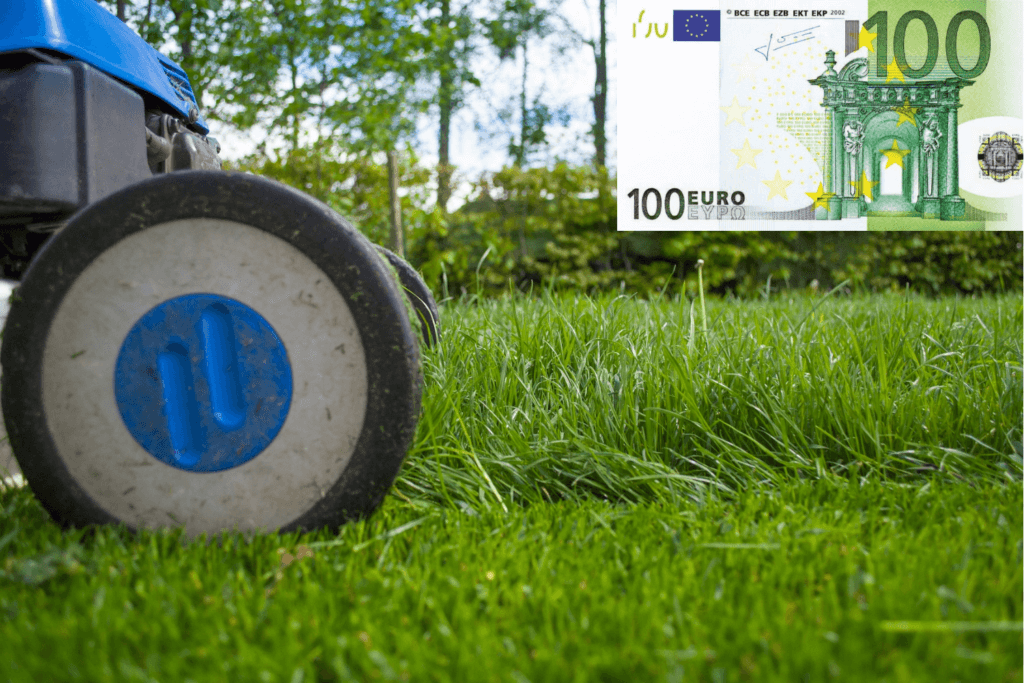 Rasenmäher bis 100 Euro