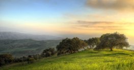Benzin Rasenmäher für hohes Gras