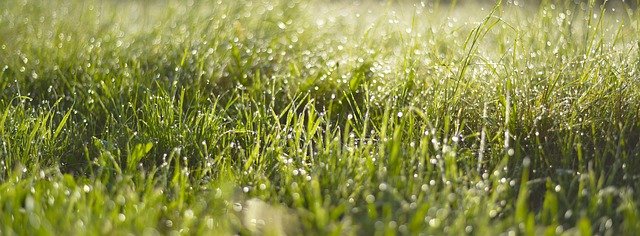 Elektro Rasenmäher für hohes Gras