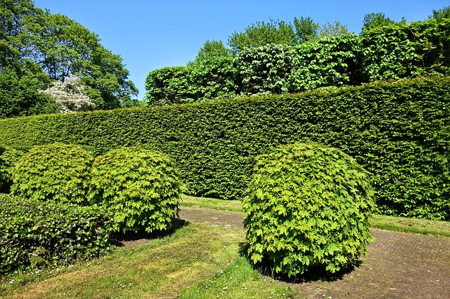 Heckenschere mit Akku und Ladegerät