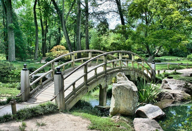 Welche Kettensäge für den Garten