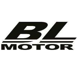 Bürstenloser Motor brushless