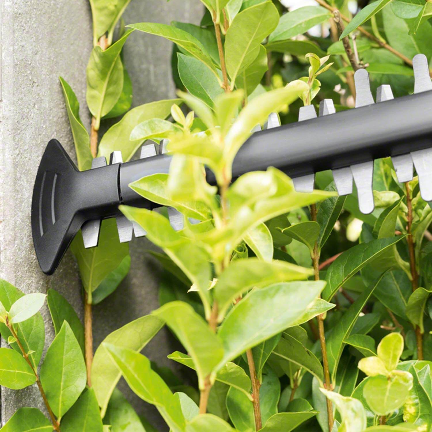 Testsieger Stiftung Warentest Bosch