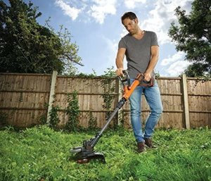 Black and Decker strimmer