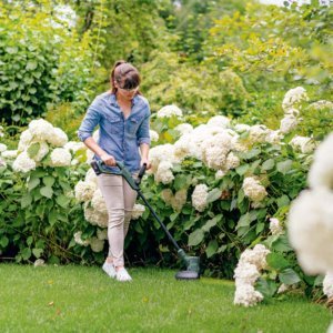 Bosch cordless strimmer