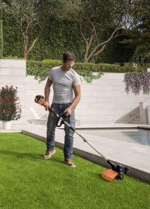 Worx strimmer