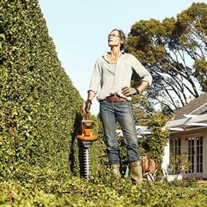 Taille haie Stihl batterie