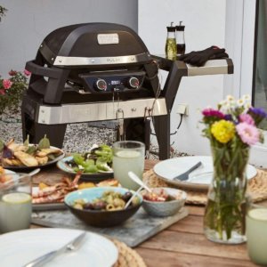 Weber elektrische BBQ
