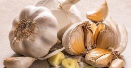 Knoblauch anbauen