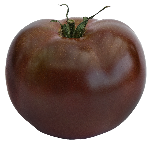 Tomaten pflanzen