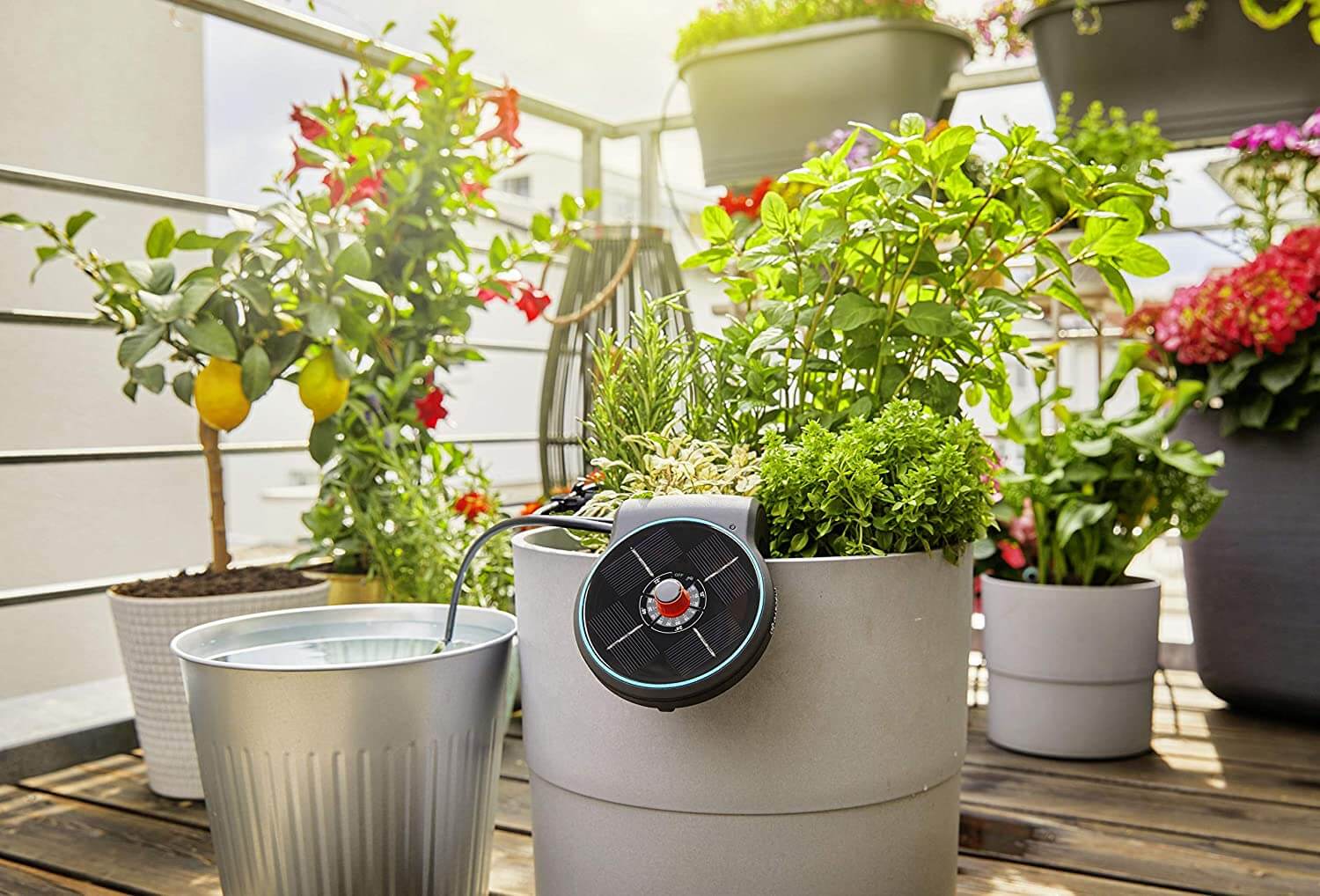 AquaBloom Solar