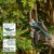 Bosch elektrische Gartenschere EasyPrune (integrierter 3,6 Volt Akku, 450 Schnitte/Akkuladung, im Karton) + Bosch Ersatzschneidemesser (für EasyPrune) - 5
