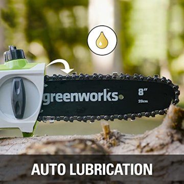 Greenworks Tools Akku-Hochentaster (Li-Ion 40V 20cm Schwertlänge 8 m/s Kettengeschwindigkeit Teleskop-Alustange 3-teilig inklusive 2 Ah Akku und Ladegerät), 20157UA, Grün - 4
