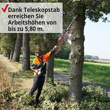 HECHT Benzin Hochentaster Teleskopsäge Motorsäge mit 26 ccm Hubraum, 34 cm Schwert und Teleskobstange bis zu 4,27 m Verlängerung für kraftvolles sicheres sägen in hohen Baumkronen (Hochentaster Rot) - 2