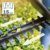 Bosch Heckenschere EasyHedgeCut 18-45 (ohne Akku, 18 Volt System, im Karton) - 5