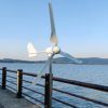 1000W Windkraftanlage 12V 24V 48V Windturbine Generator mit Hybrid Controller für den Heimgebrauch hohe Effizienz (24V mit Controller) - 1