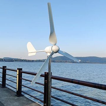1000W Windkraftanlage 12V 24V 48V Windturbine Generator mit Hybrid Controller für den Heimgebrauch hohe Effizienz (24V mit Controller) - 1