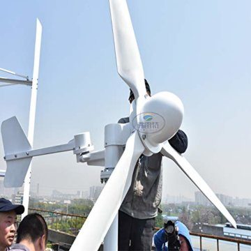 3000W Windkraftanlage 24V 48V 96V 220V Horizontaler Windgenerator 3KW Permanentmagnetgenerator 3 Blätter Windturbine Freie Energie (220V) - 5