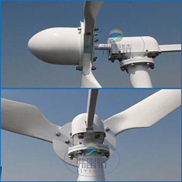 3000W Windkraftanlage 24V 48V 96V 220V Horizontaler Windgenerator 3KW Permanentmagnetgenerator 3 Blätter Windturbine Freie Energie (220V) - 8