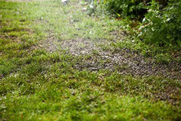 COMPO Rasensaat Spiel und Sport, Universelle Rasenmischung mit Rasensamen / Grassamen, 8 kg, 400 m² - 12