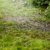 COMPO Rasensaat Spiel und Sport, Universelle Rasenmischung mit Rasensamen / Grassamen, 8 kg, 400 m² - 12