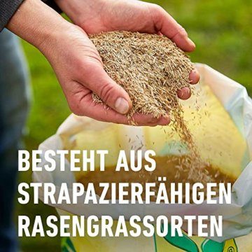 COMPO Rasensaat Spiel und Sport, Universelle Rasenmischung mit Rasensamen / Grassamen, 8 kg, 400 m² - 4