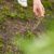 COMPO Rasensaat Spiel und Sport, Universelle Rasenmischung mit Rasensamen / Grassamen, 8 kg, 400 m² - 8