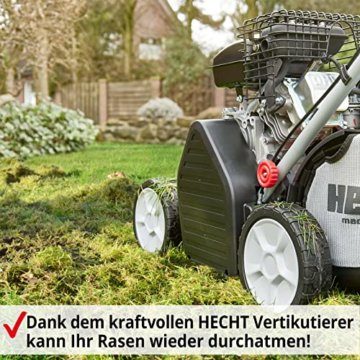 HECHT Vertikutierer Benzin (1,8 kW / 2,45 PS) – 38cm Arbeitsbreite – 40L Fangkorb – für die Rasenpflege und leichtes Entfernen von Moos - Unkraut im Rasen - 8