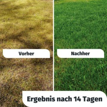 Langzeit Rasendünger Frühjahr 20kg mit 2 Monate Langzeit-Wirkung, Dünger gegen Moos, Ideal für Frühjahr und Sommer, geeignet für Streuwagen, staubarmes Granulat, Rasen dünger, Turbogrün - 3