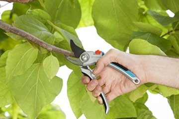 Gardena Gartenschere Alu B/L: Pflanzenschonende Baumschere mit Bypass-Schneide für Äste und Zweige bis 25 mm Durchmesser, robuste Alugriffe, auswechselbare Klinge, nachstellbares Gewerbe (8906-20) - 3