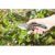 Gardena Gartenschere stufenlose Grifföffnung (8905-20), Mehrfarbig, Schneid-Ø: 24mm (S-XL) - 7