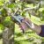Gardena Ratschenschere SmartCut: Stabile Gartenschere mit Amboss-Schneide für stärkeres und trockenes Holz bis 25 mm Durchmesser, zwei Griffpositionen, mit Ratschenmechanismus und Alugriffen (8798-20) - 2