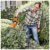 Stihl HSA 26 Akku Strauchschere mit AS2 und AL1 - 4