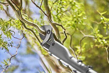 Gardena Akku-Baumschere EasyCut 110/18V P4A ohne Akku: Astschere für Zweige in bis zu 2,5 m Höhe, ergonomischer Griff, geringes Gewicht, langlebige Klingen (14772-55) - 2
